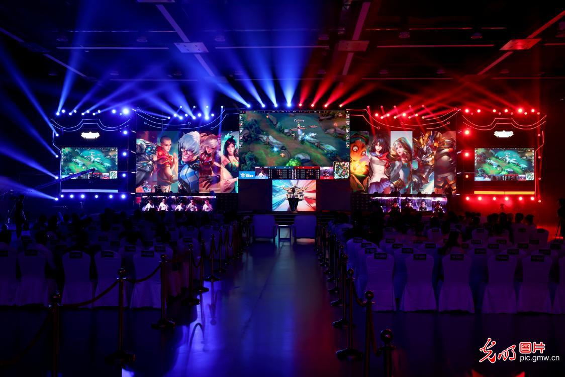 塞尔塔在夏 塞尔塔在夏